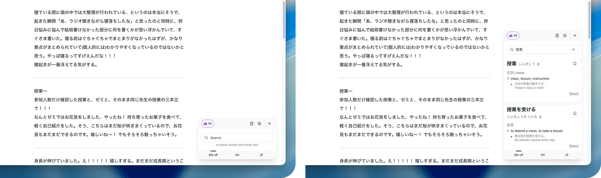 immit dictionary panel