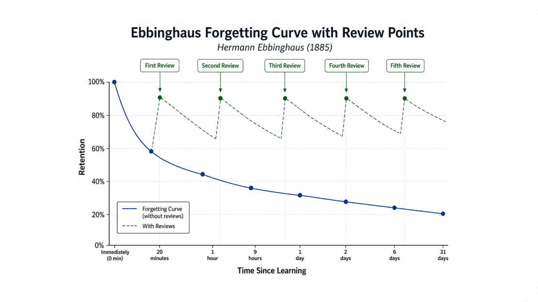 The forgetting Curve.png